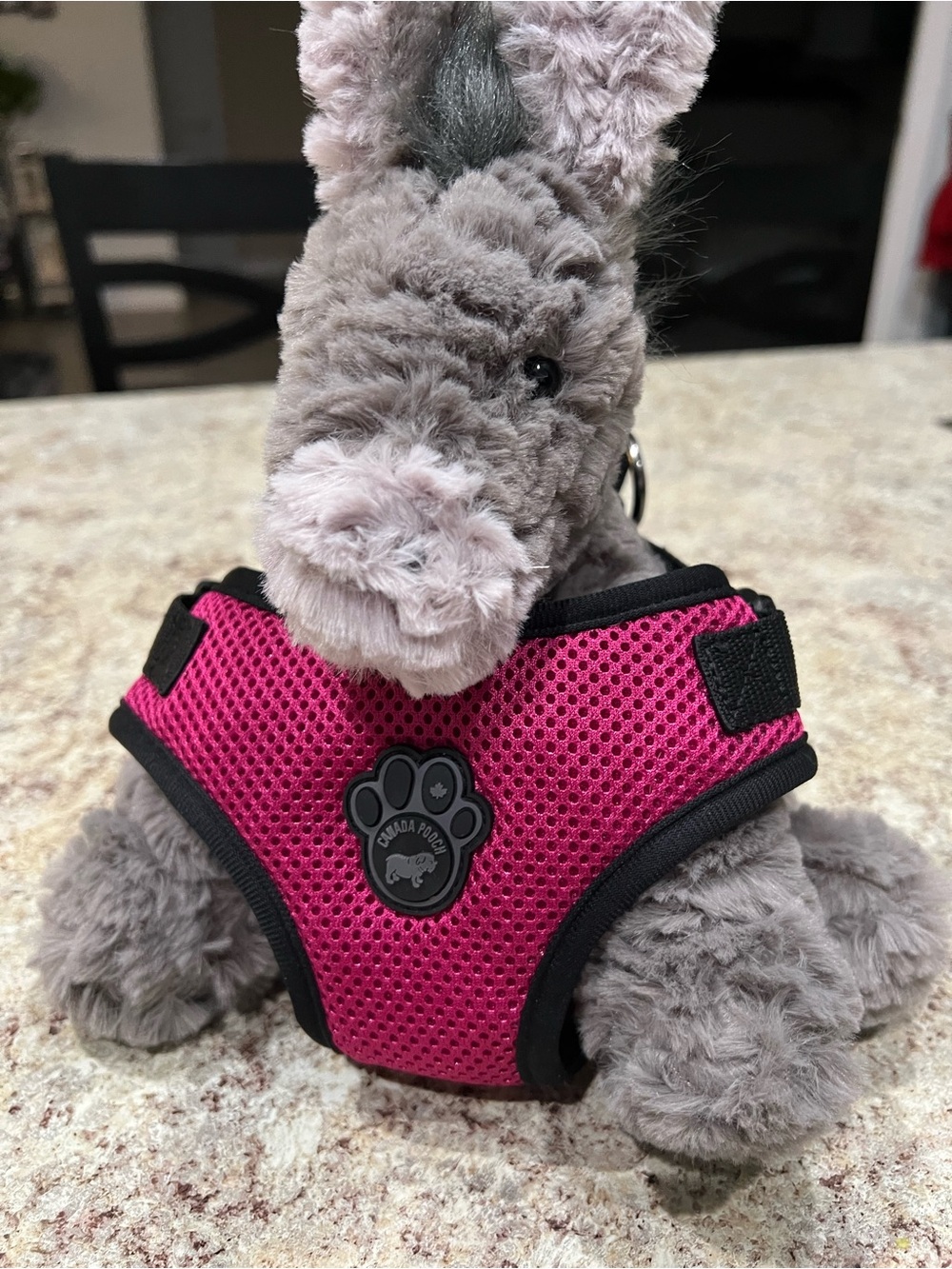 Canada Pooch Ltd- Pink Mesh Dog Harness with Paw Logo - CP12807